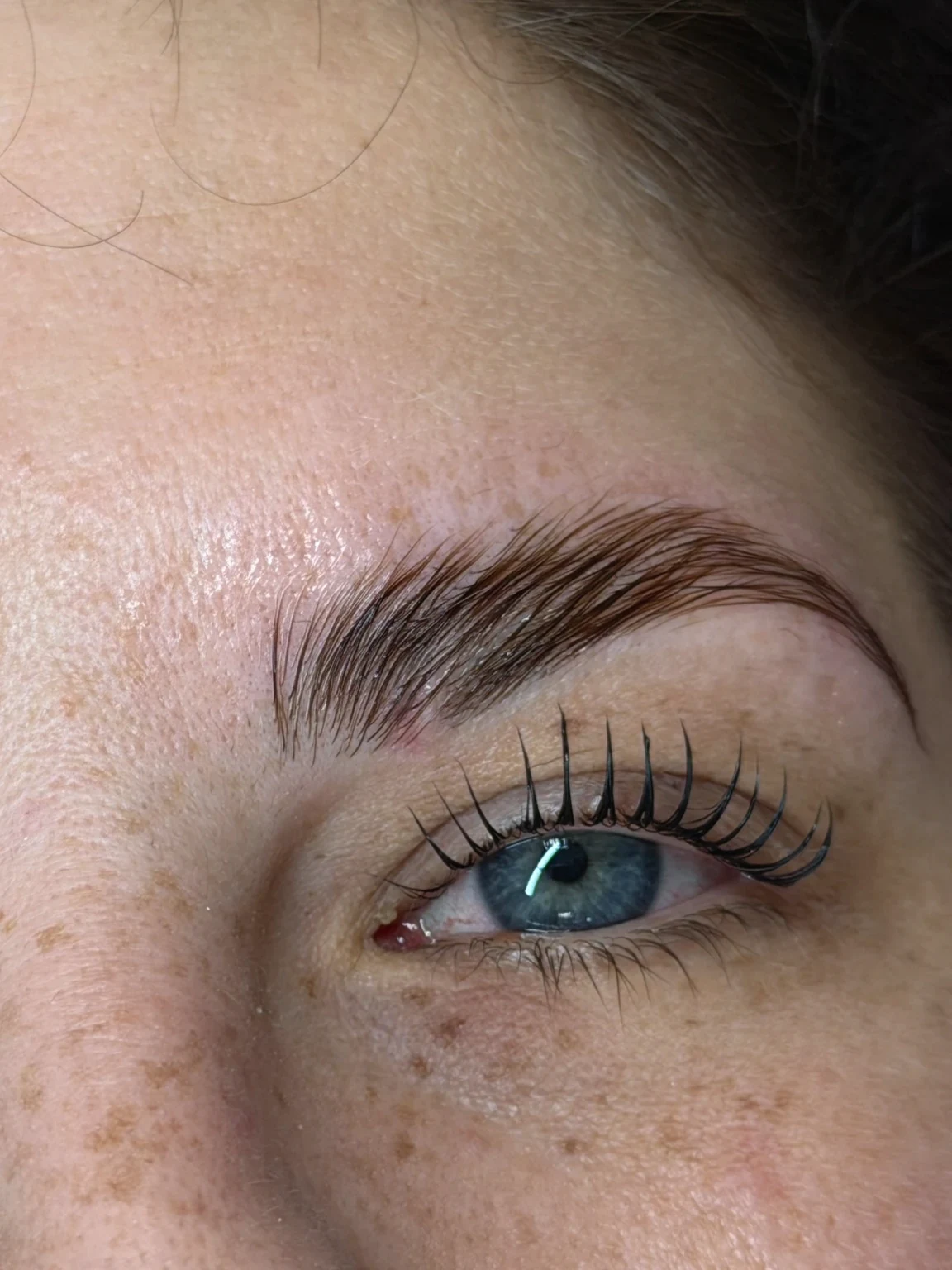Browlifting Ergebnis