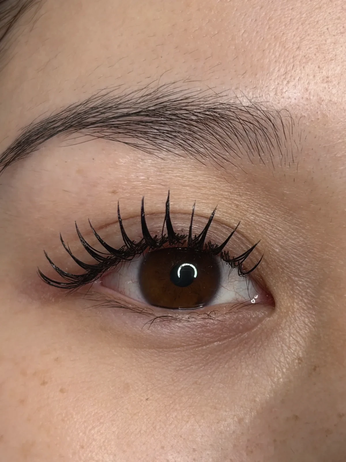 CAM Lami Lash in Spike-Technik, weich und voll